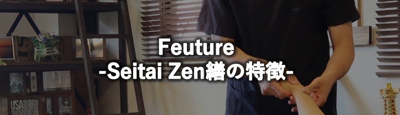 Feuture　Seitai Zen繕の特徴